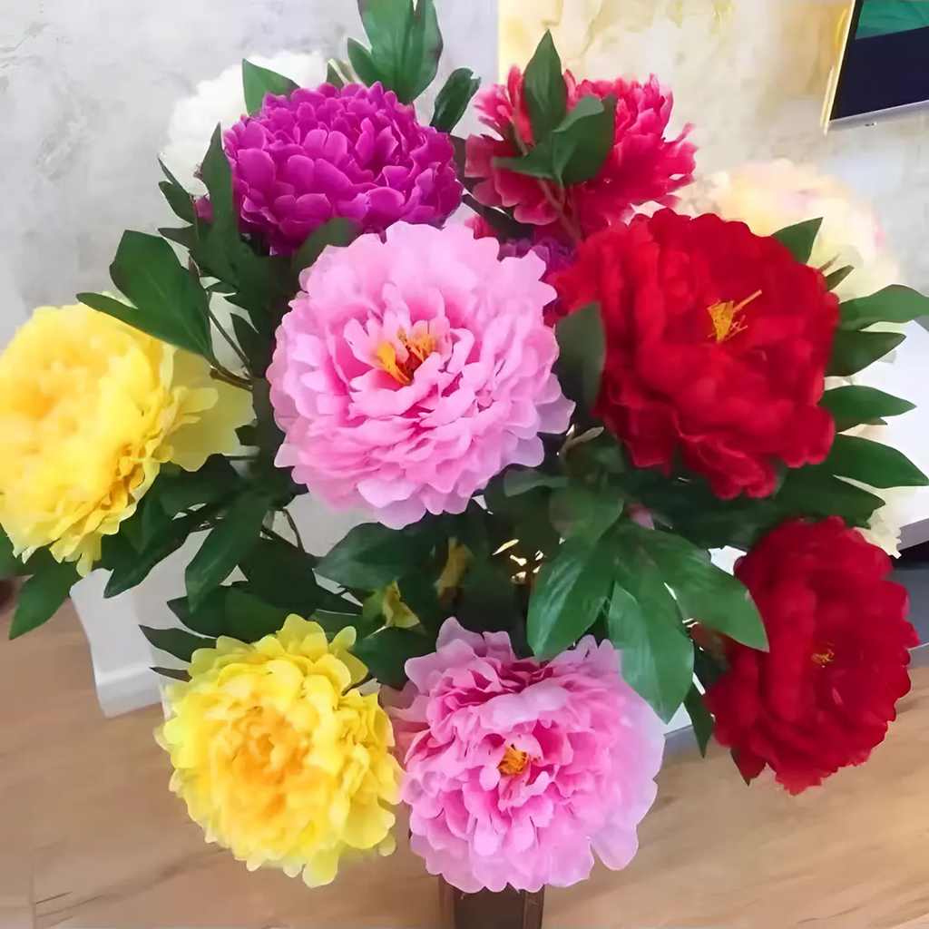 🌸 Двойно катерлив божур, устойчив на замръзване градински многогодишен вид за вътрешна и външна красота