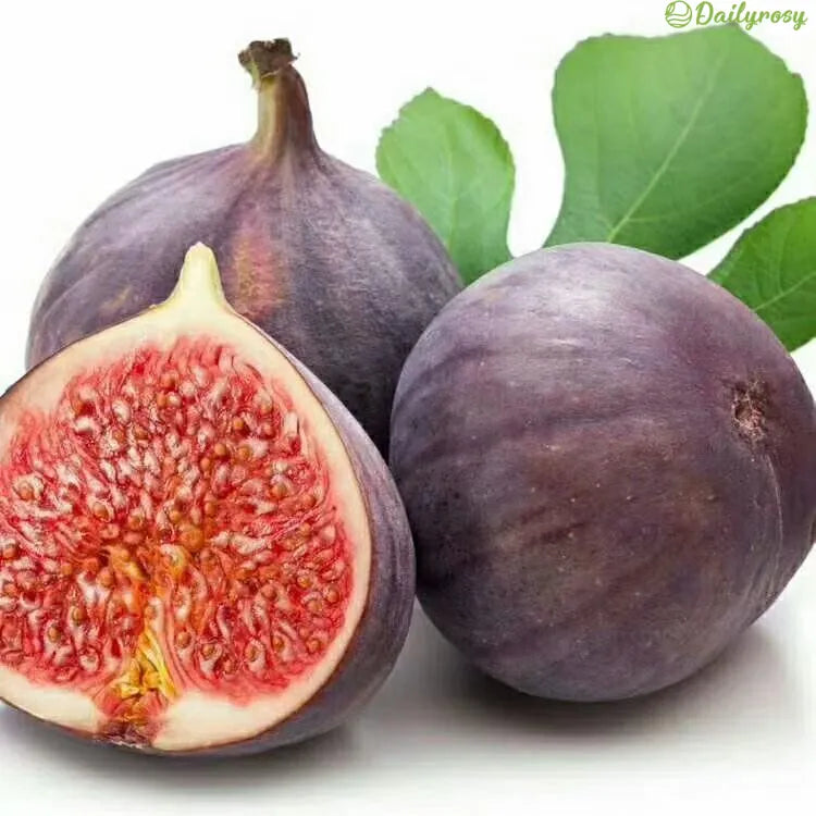 🍑Szuperóriás fügemagok – Őszibarackos édesség minden falatban! 🌟
