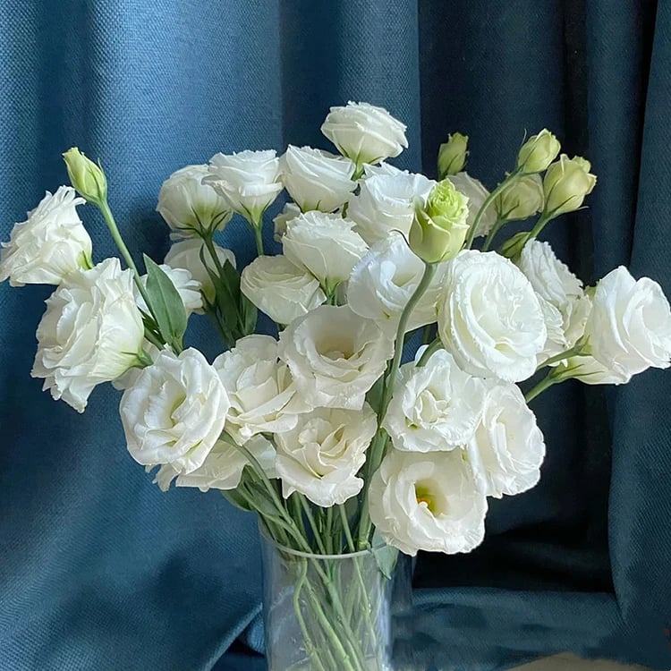 🔥Последен ден на продажба💝Eustoma Thornless Rose💐Семена от лизиантус