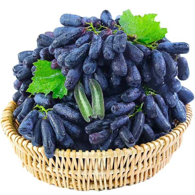 🔥 UTOLSÓ NAPOS AKCIÓ 30% KEDVEZMÉNY 💜 Édes zafír szőlő (ritka ujjas szőlő) 🍇