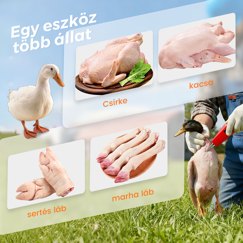 🔥🐓 Elektromos baromfi tolltépő gép – Egyszerű tolltépés, idő- és energiamegtakarítás! 👨‍🍳💕