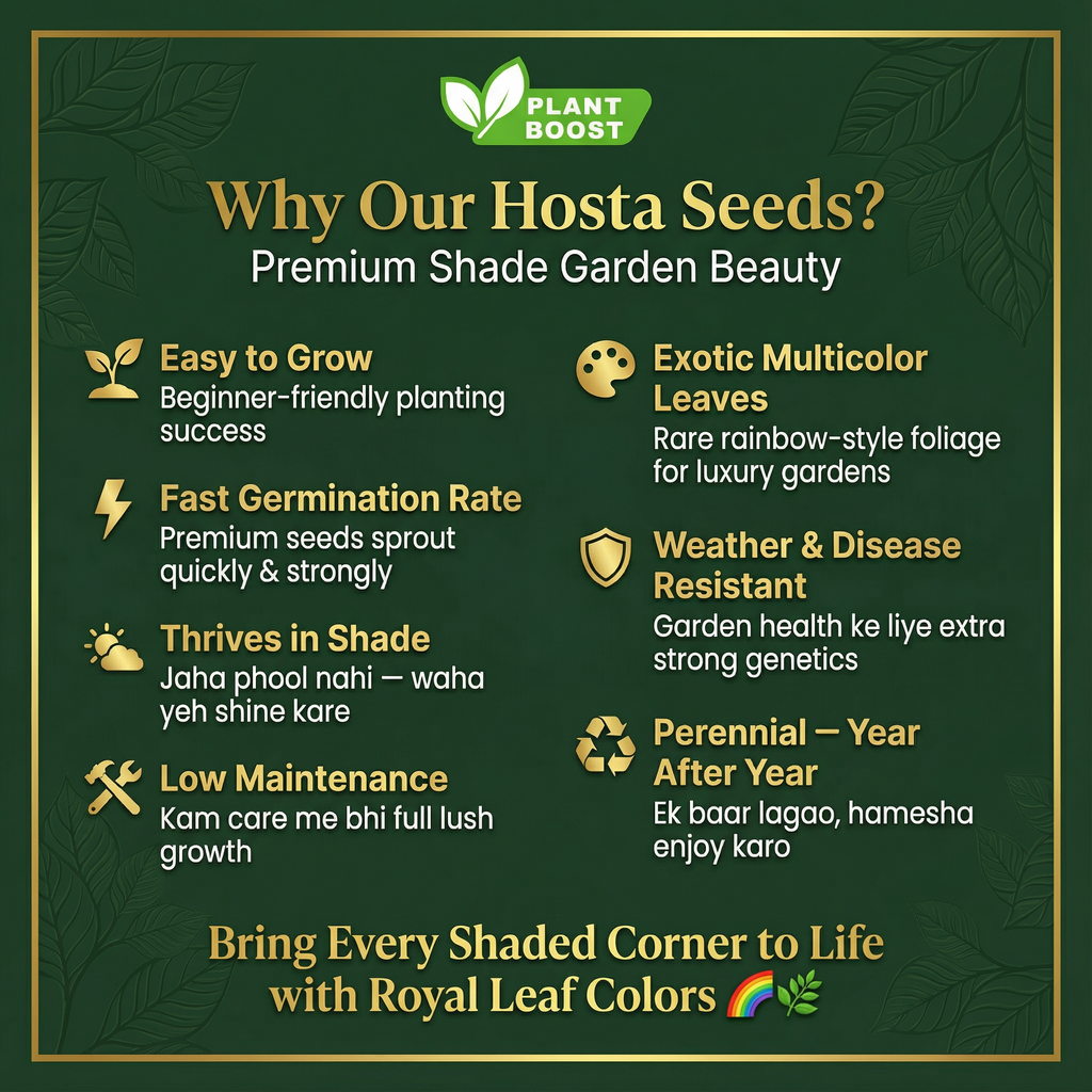 Гостеви семена от Royal Leaf