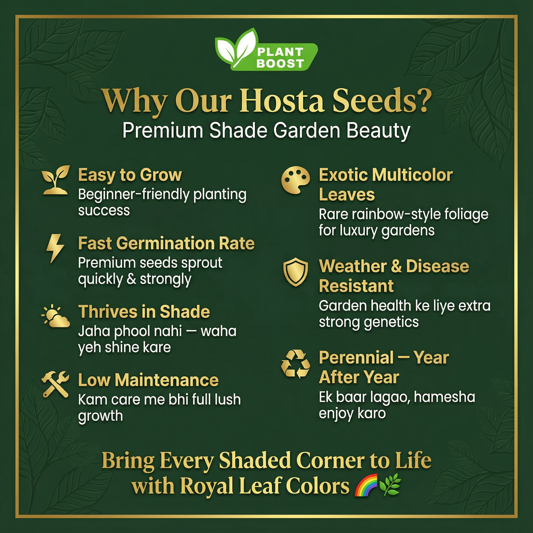 Гостеви семена от Royal Leaf