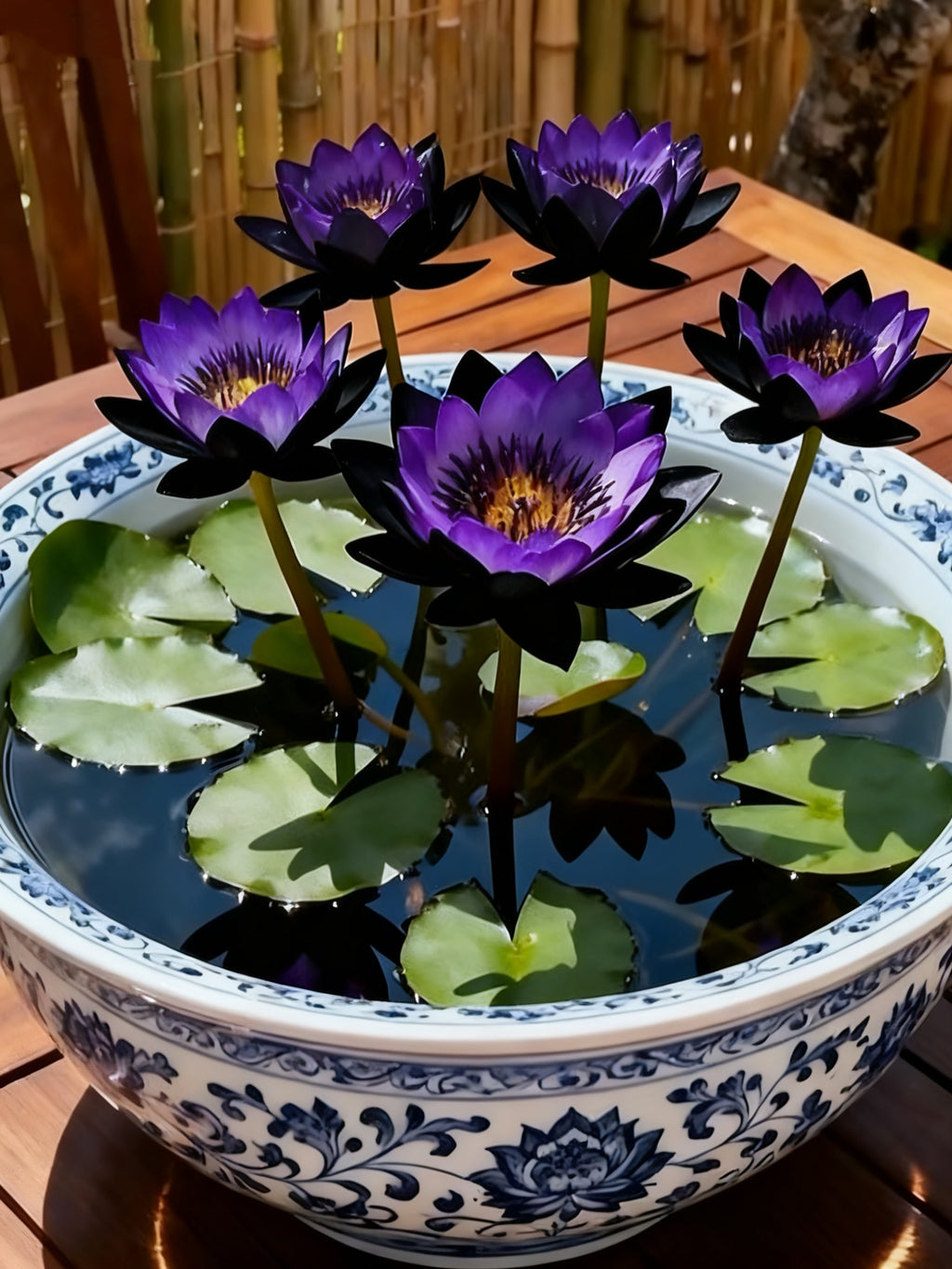 🌌💜 Лотос в сянка – рядка красота във вашата градина🌸