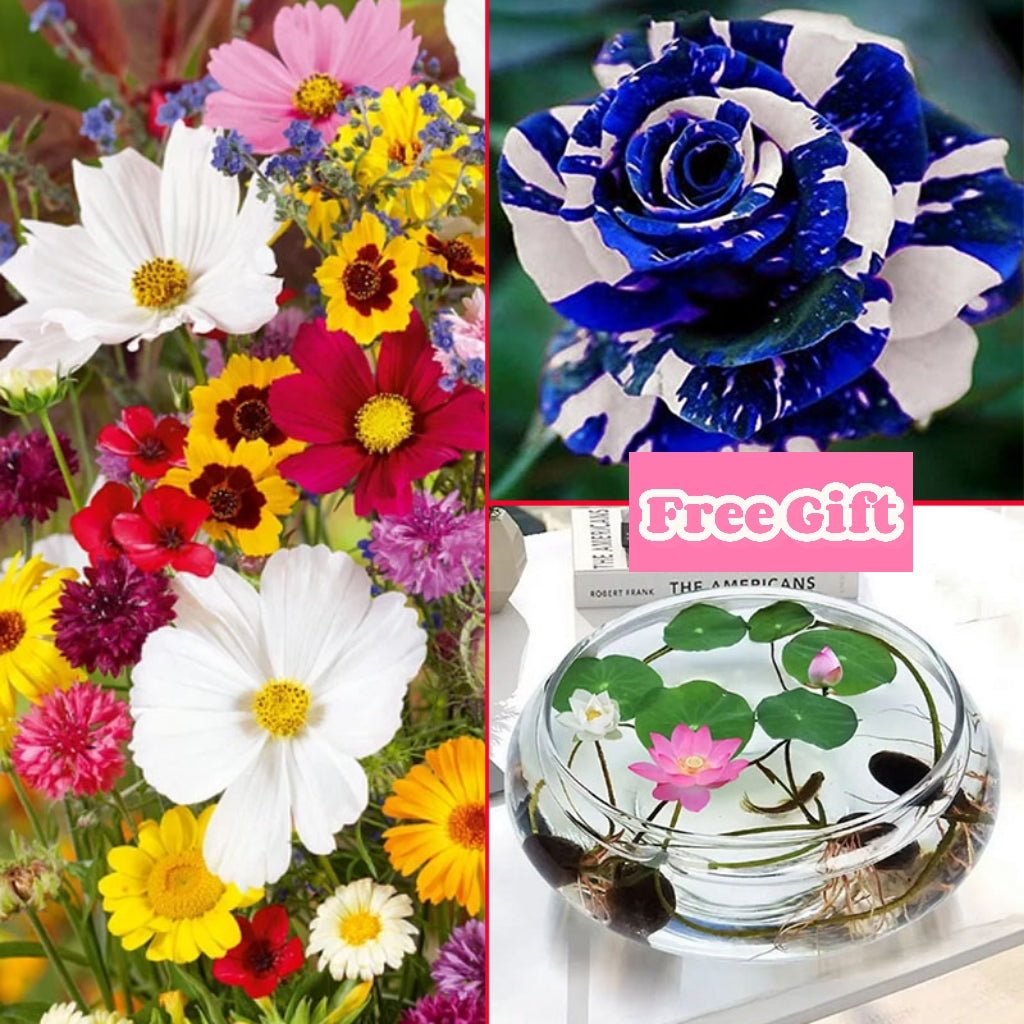 🔥Последен ден на разпродажбата💐Смесени семена за многогодишни цветя - над 60 смесени сорта