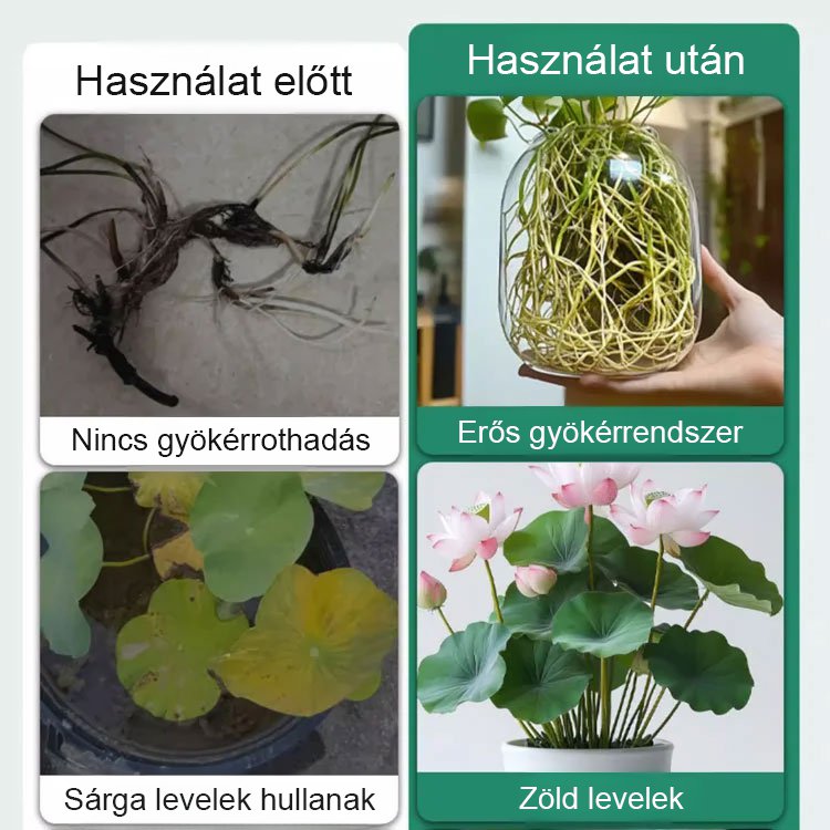 JS-tál lótusz speciális tápoldat