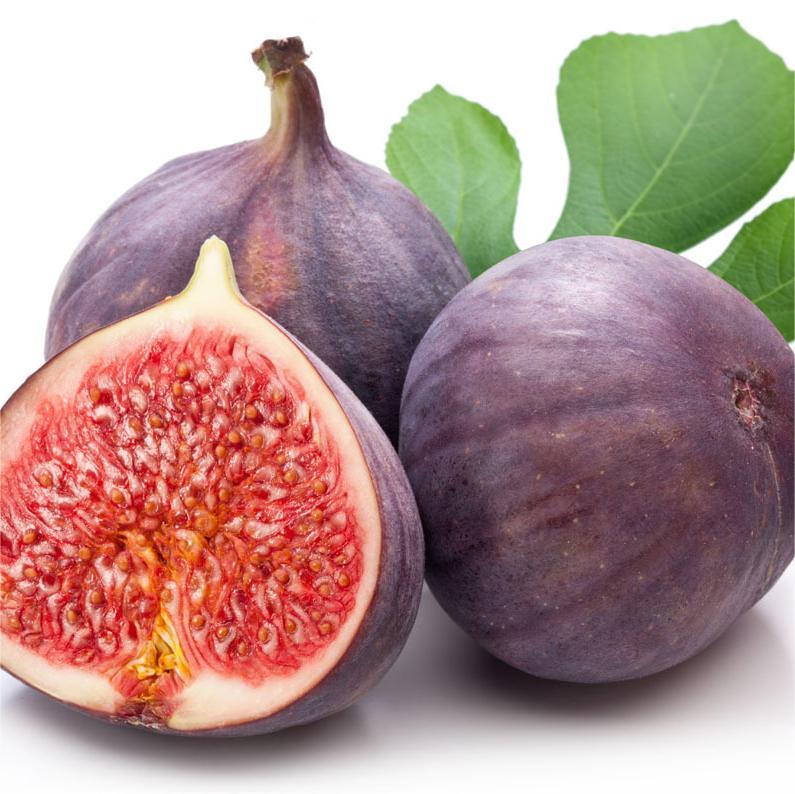 SweetHarvest fügemagok