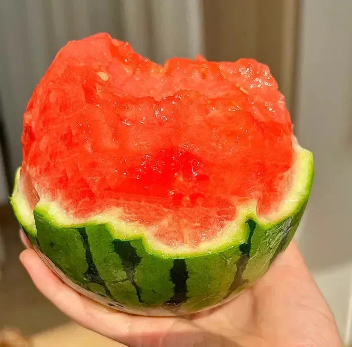 🍉Раннопролетен червен нефрит – сладка диня, която ще зарадва цялото семейство
