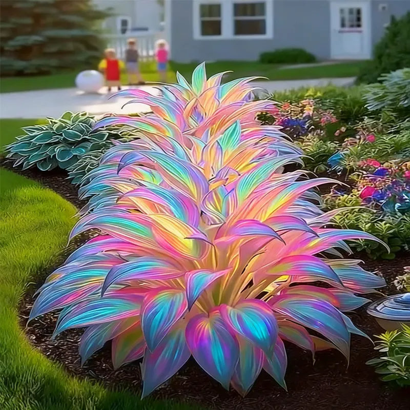 Семена на растението Rainbow Haze