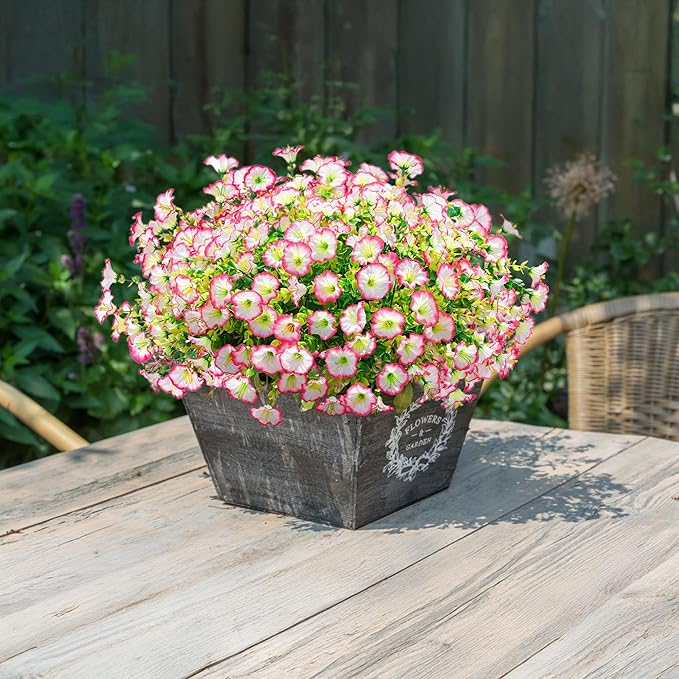 💥Подобрен материал с най-високо качество 🌸Устойчива на UV лъчи и неизбеляваща поветица (без саксия)