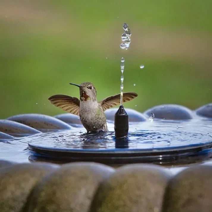 ☀ПОСЛЕДЕН ДЕН НА ПРОДАЖБАТА – 🐦️⛲Компактна соларна помпа за фонтан с птици – поддържайте градината си жива!