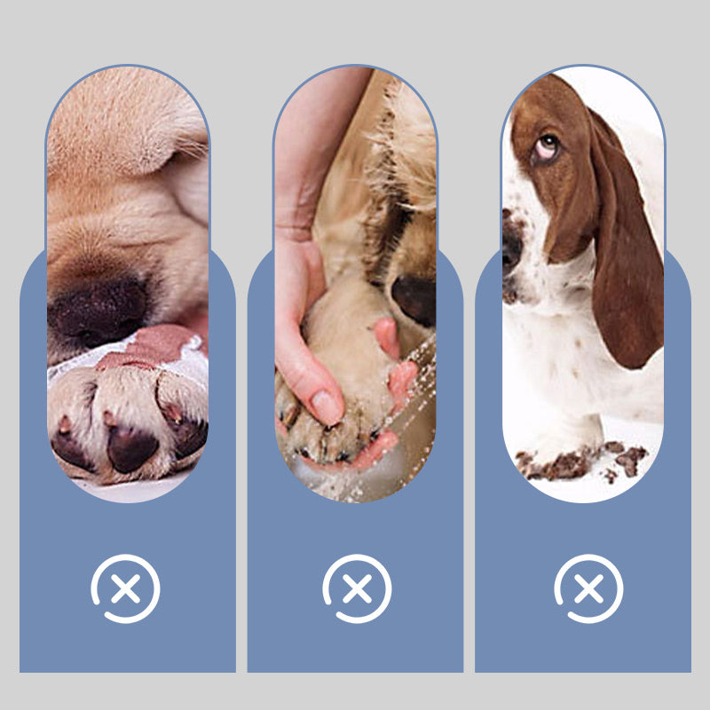 🐶2 pár csúszásmentes, vízálló kutyazokni