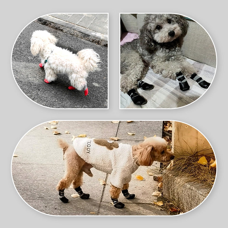 🐶2 чифта водоустойчиви чорапи за кучета с неплъзгащи се елементи