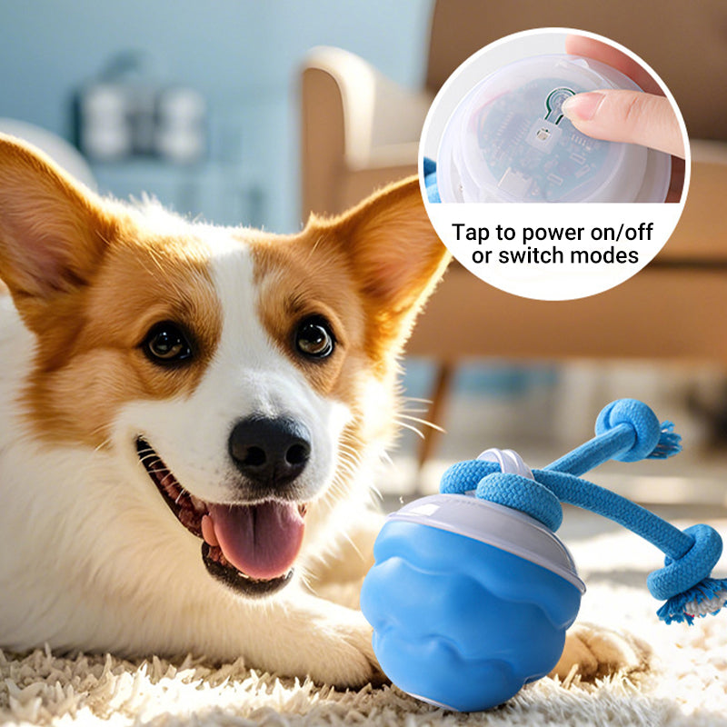 🐶Interaktív elektronikus nyugtatólabda háziállatoknak