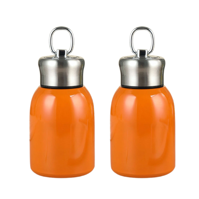 Стилна и преносима изолирана бутилка за вода