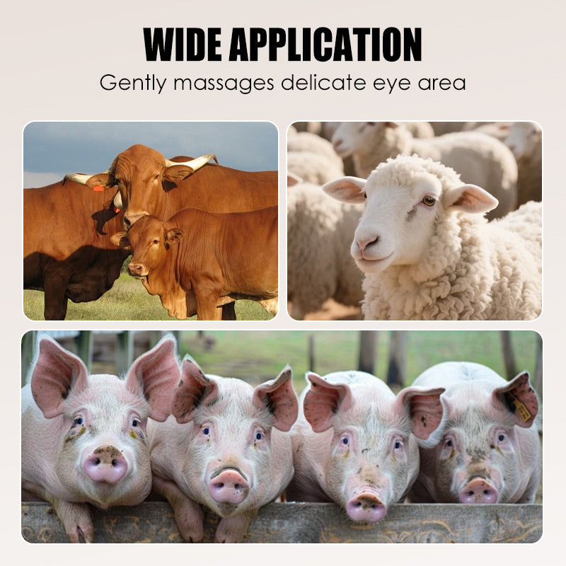 Ефективна стъргалка за премахване на животински косми